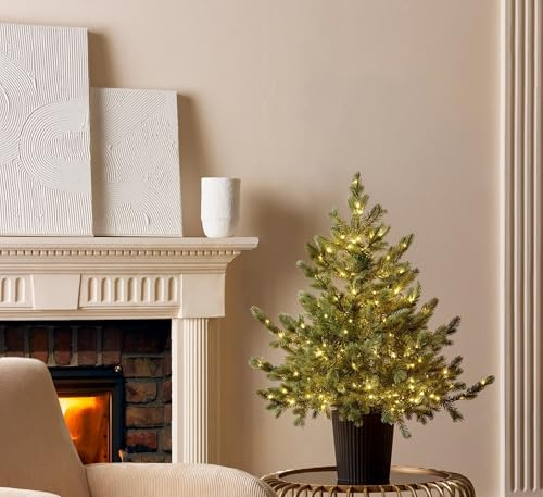 EDG Enzo de Gasperi Albero di Natale Pino Argentato con Vaso e 240 luci LED H90xD85 cm