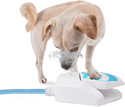ALL FOR PAWS Outdoor Dog Garden Fountain Drinking Water Dispenser Hydration Paw Activated Sprinkler Cooling Toy With Connector and 145CM Hose, New Version