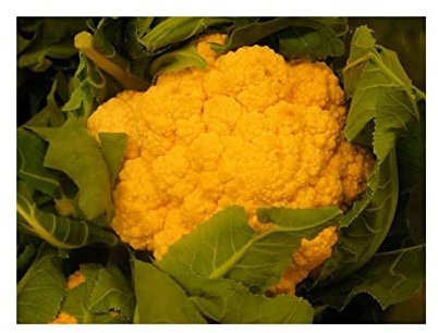 Pcs - 5X Cauliflower Sunset F1-Samen Vegetables Garden Plant Kitchen K1 - Seeds Plants Shop Samenbank Pfullingen Patrik Ipsa