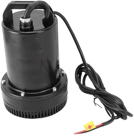 aqxreight Pompe Submersible à Courant Continu 180 W Pompe en Acier Inoxydable pour l'irrigation du Jardin, le Drainage de la Piscine et l'aquaculture Utilitaire de 8 M avec Fonctionnement Silencieux