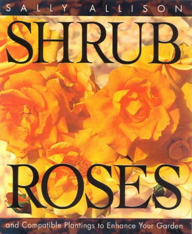 Shrub Roses and Compatible Plantings to Enhance Your Garden