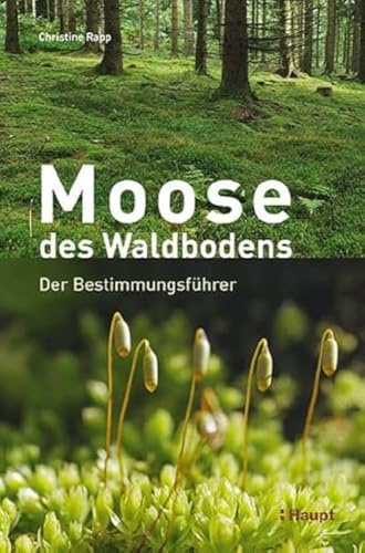 Moose des Waldbodens: Der Bestimmungsführer