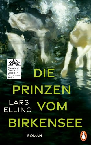 Die Prinzen vom Birkensee: Roman