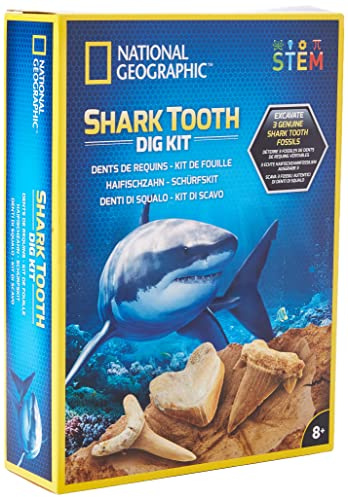 National Geographic Shark Tooth Dig Kit - Fascinating Excavation Kits for Kids with Genuine Teeth Fossils from 3 Shark Species | STEM Educational Science Kits Gifts for 8+ Year Old Boys and Girls