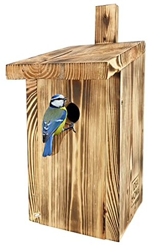 Leviatan IDEA HOME PARIDAE Nistkasten Meise Natur für Kohlmeisen 33 mm aus Massivholz I Verschraubt, Nistkästen für Vögel – Nistkasten Meisen, Meisenkasten, Vogelhaus Meisen Nistkästen, Wetterfest