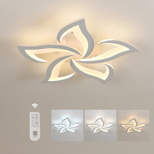 Comely LED Ceiling Light Dimmable, Ceiling Lamp with Remote Control, 40W 4700LM 3000K~6500K Φ60cm, Acrylic Modern Ceiling Light for Bedroom Living Room, Dia60cm