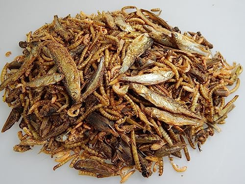 Reptilien- Futter 6 Sorten Mix Trockenfutter Schildkrötenfutter Reptilien Mix (1000 g)