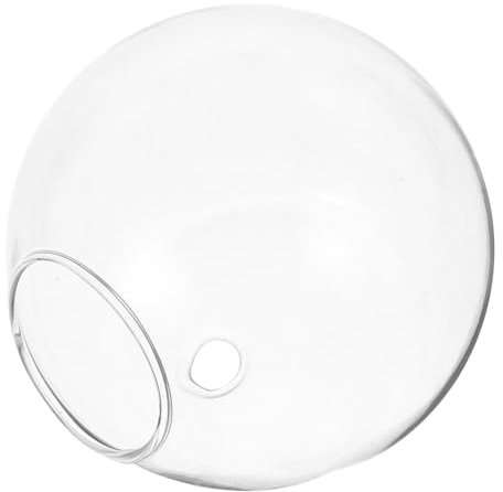 BESPORTBLE Hängevase aus Glas Wandmontiertes Pflanzgefäß Kugelförmige Anzuchtstation für Luftpflanzen Transparentes Geeignet für Verschiedene Pflanzen Heimdekoration für Kleine Wohnungen