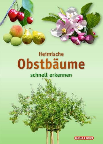 Heimische Obstbäume: schnell erkennen (Quelle & Meyer Bestimmungskarten)
