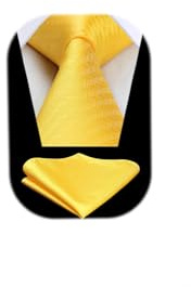 HISDERN Men's Yellow Ties Wedding Tie Handkerchief Formal Business Necktie & Pocket Square Set