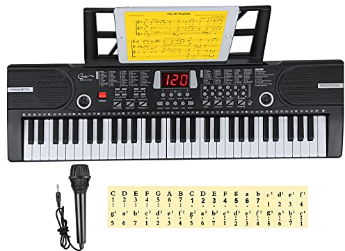Hricane Tastiera elettronica a 61 tasti per bambini, il pianoforte elettronico portatile per principianti con microfono, leggio, adesivo