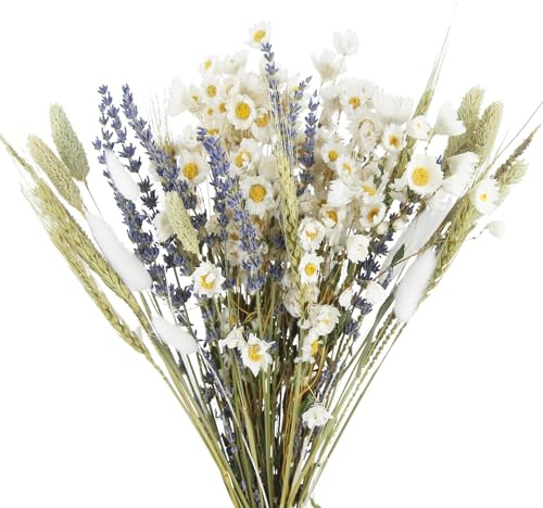 CEWUDA Dried Flowers Bouquet Dried Daisy Flowers Natural Lavender Dried Flowers Bunny Tails Gerber Daisies Flowers Wheat Stalks Floral Arrangements for Wedding Table Centerpiece Decor Farmhouse DIY