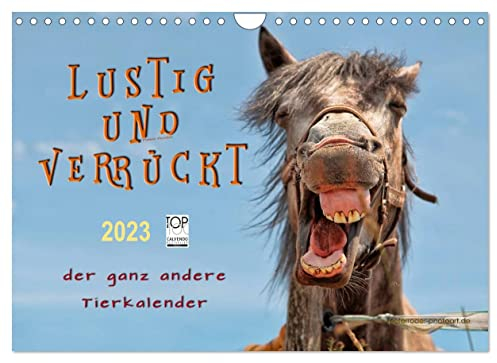 Lustig und verrückt - der ganz andere Tierkalender (Wandkalender 2023 DIN A4 quer): Schöne Tierbilder, die Freude machen. (Monatskalender, 14 Seiten ) (CALVENDO Tiere)