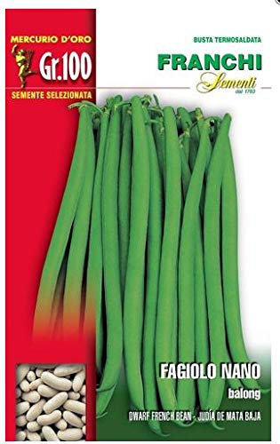 Franchi sementi semi di fagioli e fagiolini nani e rampicanti in confezioni varie (nano balong, 100 grammi)
