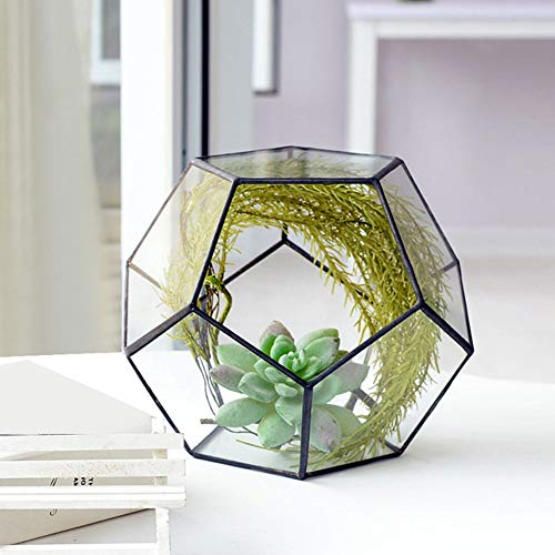 Glas Geometrisches Terrarium, Geometrische Form Glas Blumentopf Sukkulenten Pflanze Pflanzgefäß Container Landschaft Dekoration (Keine Pflanzen enthalten)