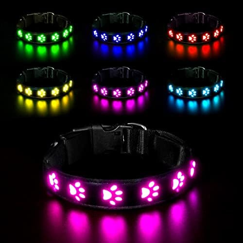 AUAUY LED Hundehalsband Leuchtend, Wasserdichtes, 6 Farben, Colorful-L | Einstellbar Sicherheit Kragen, Hunde Halsband, USB Wiederaufladbar, Wasserdichtes, für Kleine Mittlere Große Haustier