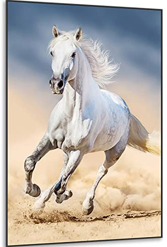 Instarry 5D DIY Diamond Painting Zubehör Full Groß weißes Pferd Indie Room Decor 60x40 cm