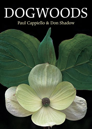 Timber Press