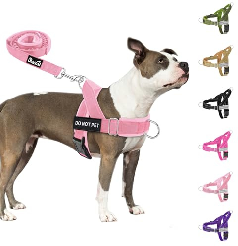 Eyein Hundegeschirr für mittelgroße Hunde mit Leine, Fleece-gepolstert | Anti-Zug Brustgeschirr mit 2 D-Ringen für Training & Spaziergänge, reflektierend, verstellbar an Hals & Brust (Rosa, M)