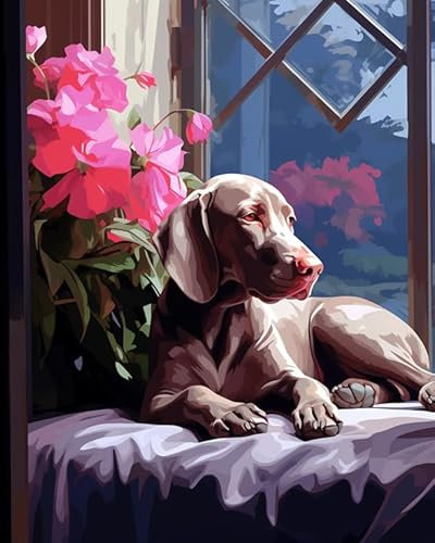ZMHZMY Malen nach Zahlen Erwachsene,Weimaraner-Hund liegt auf Fensterbank DIY Handgemalt Ölgemälde Kits auf Leinwand Geschenk für Weihnachten Geburtstag Home Haus Deko - Ohne Rahmen