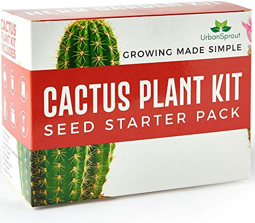 Cactus Grow Kit - Grow Your Own Cactus from Seed - Sustainable Eco Gardening Gift Set with 5 Cactus Seed Varieties and Cactus Starter Kit Tools