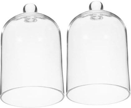 Ciieeo 2pièces Cloches Verre Transparentes pour Exposition De Plantes Verre pour Micro-Paysage Couvercles pour Décoration Intérieur