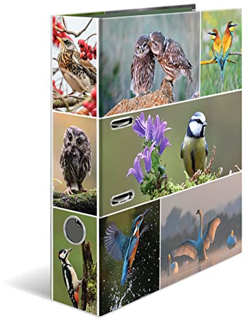 HERMA Ordner A4 Vögel Set, 10 Stück, 7 cm breit, Kinder Ringordner mit Tier Motiv, bunter Aktenordner mit Innendruck für Jungen und Mädchen