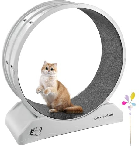 Novelfun - Tapis roulant per gatti, grande ruota da corsa per gatti, diametro 80 cm, con tappeto, per interni, sport, piste, fitness, controllo del peso, grigio