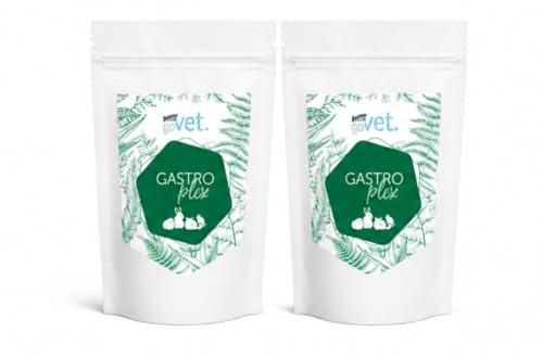Bunny goVet - GASTROplex | Paquete doble | 2 x 325 g | Complemento alimenticio para conejos enanos, cobayas, chinchillas y degus | Para apoyar el tracto digestivo