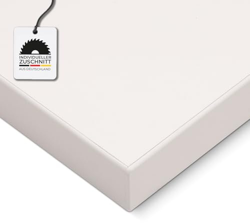 HausFux Spanplatte nach Maß - 1,9 cm stark, melaminbeschichtet, mit ABS-Kante - Made in Germany - für Möbel- und Innenausbau (Icy White, 90 x 30 cm)