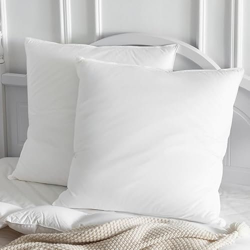 Homyrium Federkissen 80 x 80 cm Daunenkissen Kopfkissen 80x80 Daunen 3 Kammer Kissen mit 100% Daunen & Federn, Hotelqualität Schlafkissen 100% Baumwollbezug, Ökotex-Zertifiziert (1600g, 1er Pack)
