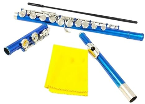 Flöte für Anfänger Flöte, 16 Geschlossene Löcher, C-Tasten, Instrument, Vernickeltes Kupfernickel, Blaue Flöte Mit E-Taste