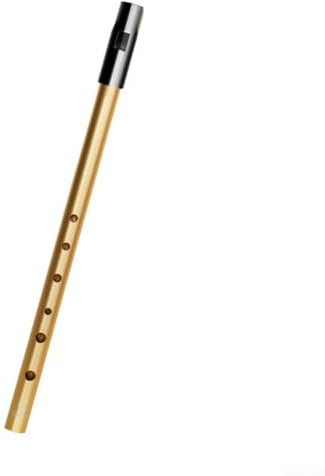 Irish Whistle C D Bb Key 6 Loch Flöte für Holzblasinstrumente Legierung Tin Penny Flöte mit Tragetasche und Grifftabelle für Musiker (Gold D Key)