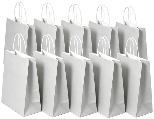 SHUBEIEUMI 10 Sacs Cadeaux en Kraft Avec Poignées,Gris Argenté | 21x15x8 cm Petite Taille Sacs en Papier pour Anniversaires, Mariages
