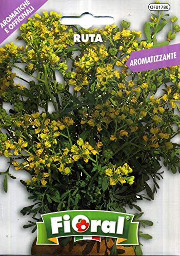 Semences de plantes aromatiques et officinales en sachet pour jardinier amateur