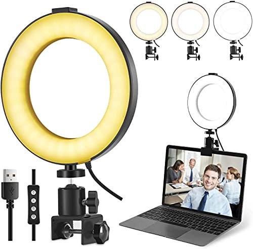 Kit d'éclairage de vidéoconférence, Clip sur Moniteur d'ordinateur Portable, Cercle LED à intensité Variable, Anneau Lumineux pour Selfie pour réunion Zoom, Travail à Distance, appels Zoom, Streaming