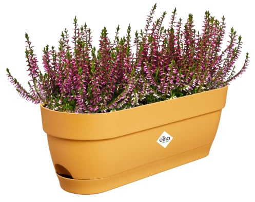 elho Vibia Campana balkonkasten 50cm Pflanztöpfe - Honig Gelb | L 18.2 x B 49 x H 17 cm | Integrierter Untersetzer