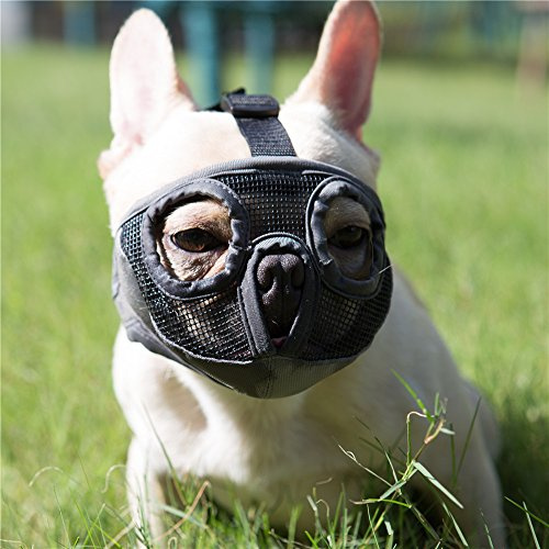 JYHY Maulkorb für Hunde mit abgeflachter SchnauzeFranzösische Bulldogge Maulkorb -verstellbar, atmungsaktiv: Französische Bulldogge, Pekingese, Shih-Tzu, Mops (Grau, Small (23-31 cm))