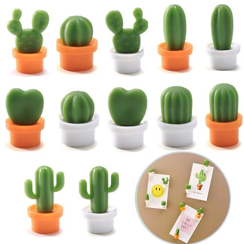 Bogoro 12 x 3D-Mini-Kaktus-Kühlschrankmagnete - Kaktus Magnete Kühlschrank Klein - Geeignet für Whiteboards, Büros, Küchen, Wohnräume und Kühlschränke