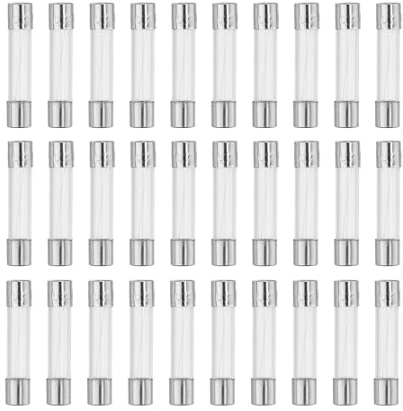 QUARKZMAN Feinsicherung 1A 6x30mm 30Stück Schnellschlag Glas Für Auto | Silberton Und Klar, Glas Und Metall, Spannung: 250V, Geeignet Für Die Meisten Autos.