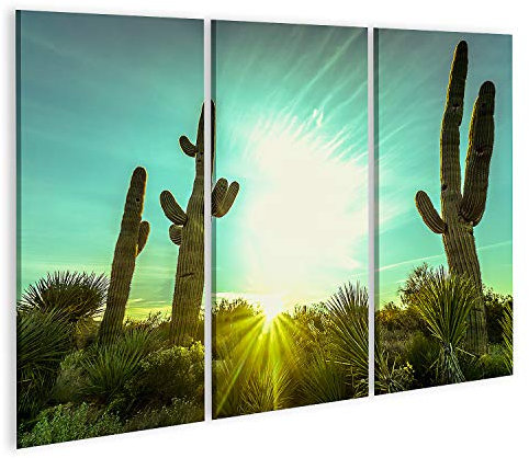 islandburner Bild auf Leinwand Arizona Wüste Kaktus Baum Landschaft Bilder Wandbilder Poster GAWB-3P