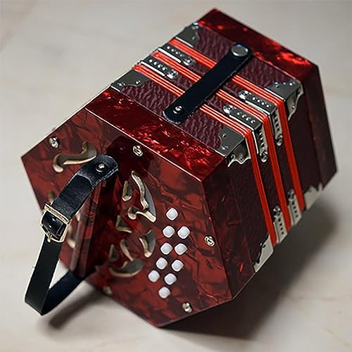 Ziehharmonika, sechseckiges Akkordeon 20 Tasten Retro Stil für Anfänger Erwachsene Akkordeon mit Tragetasche und Tasche (D)