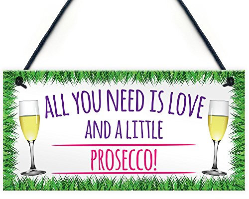 Red Ocean All You Need Love & Prosecco Alcohol Sign Gift Hanging Plaque Wine Garden Party