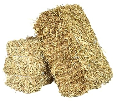 agrar-store 5Kg Stroh Gerstenstroh direkt ab Hof Einstreu Futter Meerschweinchenstroh Hasenstroh - Ernte 2024