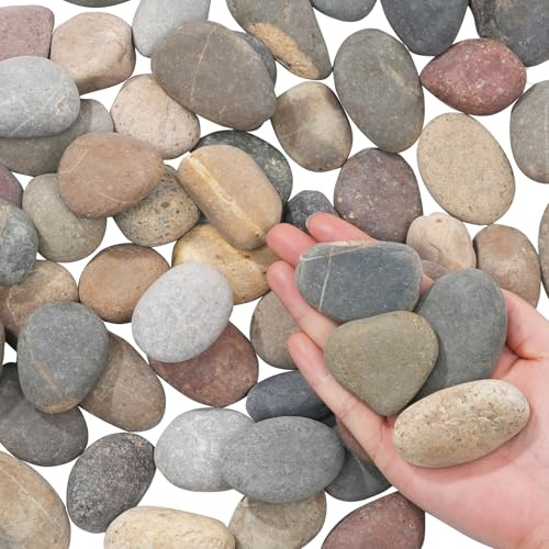 FAHAXIKI Natürliche Flusssteine, 4,5 kg Kieselsteine und Flusssteine, 5,1 - 7,6 cm Pflanzensteine für Landschaftsbau, Gartenpflaster, Basteln, Gehwege und Outdoor-Dekostein, mexikanische