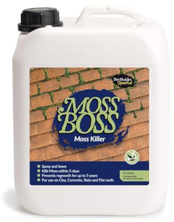 Grean Boss, Algae Remover - Green Control, Make Slippery Hard Surfaces Safe - Paths, Driveways, Patios, Roofs, Stonework or Artificial Lawn - Wet or Dry - 4 litres