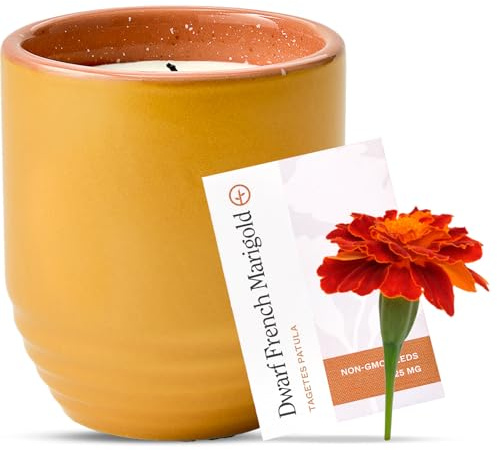 Modern Sprout Garden Vibes - 6oz Soy Wax Candle and Planter - Last Light