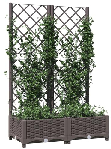Kavolet Jardinière avec treillis, treillis de jardin, bac à plantes, pot de fleurs, pot de fleurs, avec treillis, marron, 80 x 40 x 121,5 cm, PP
