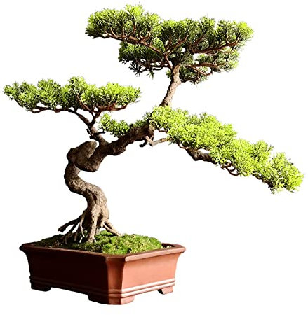 Kunstpflanze Bonsai Künstlicher Bonsai-Baum, Kunstbaum, Bonsai-Kiefer, Bonsai mit rotem Keramiktopf, Innendekoration, Zimmerpflanze for Desktop-Heimdekoration Künstliche Pflanzen