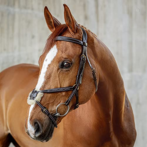 Sunride mexikanische Trense Acapulco mit Zügel - aus Echtleder mit Fell, gepolstert, anatomisch (Cob, braun)
